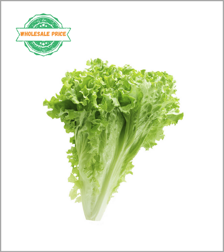 Lettuce Leaves -Bulk (min 2kg)