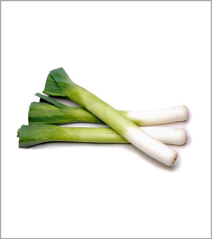 Leek