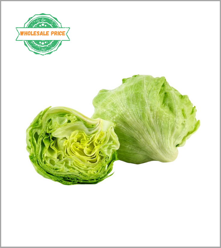 Iceberg Lettuce -Bulk (min 2kg)