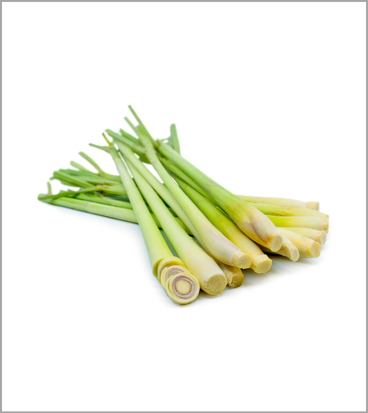 Lemon Grass (Ghans Leemo)