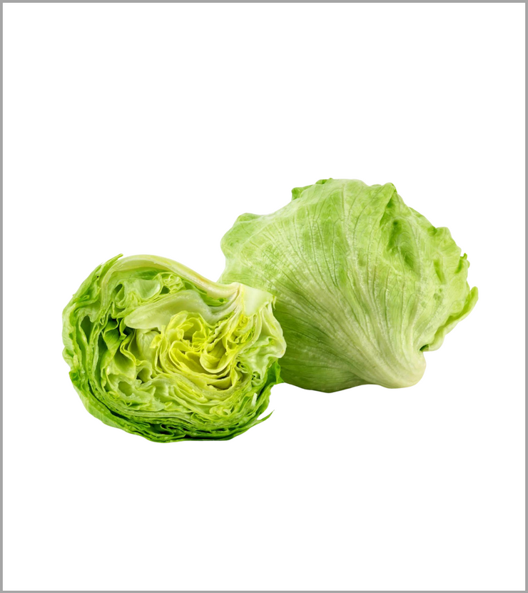 Iceberg Lettuce